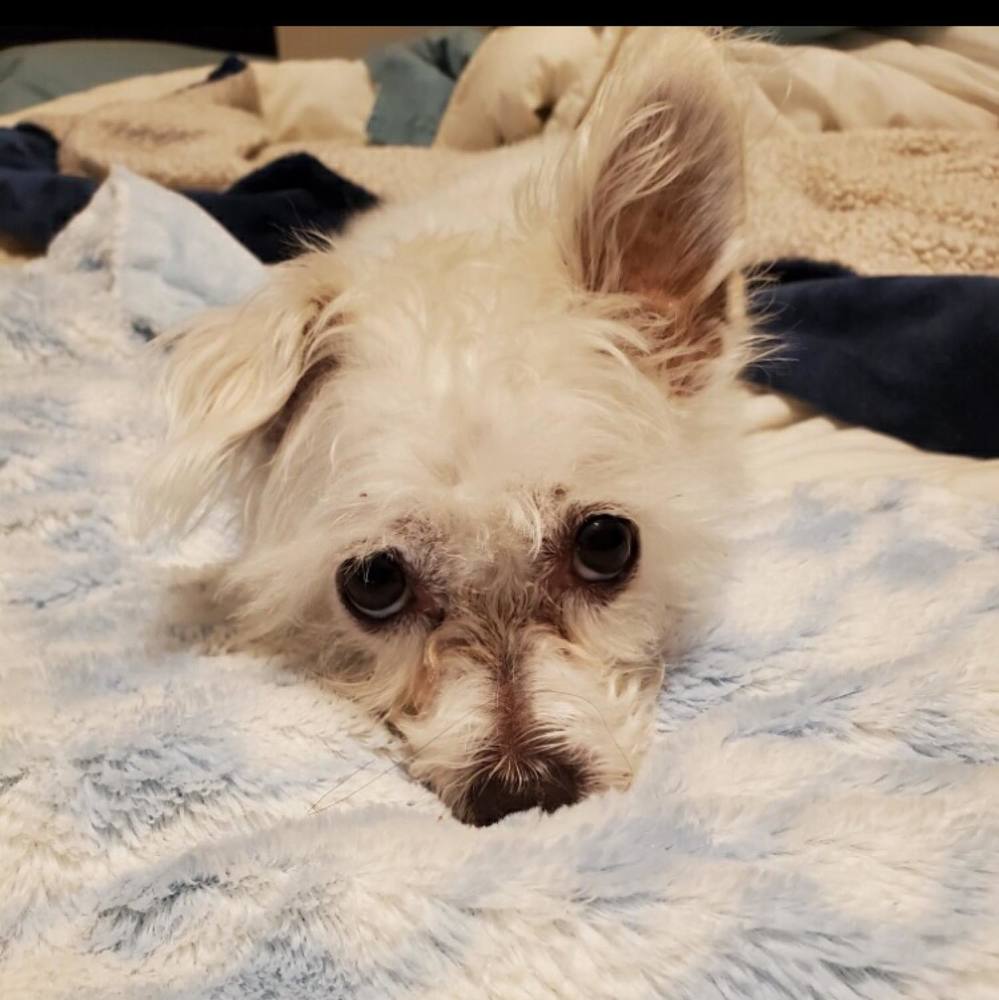 Meet your Posher, Julie